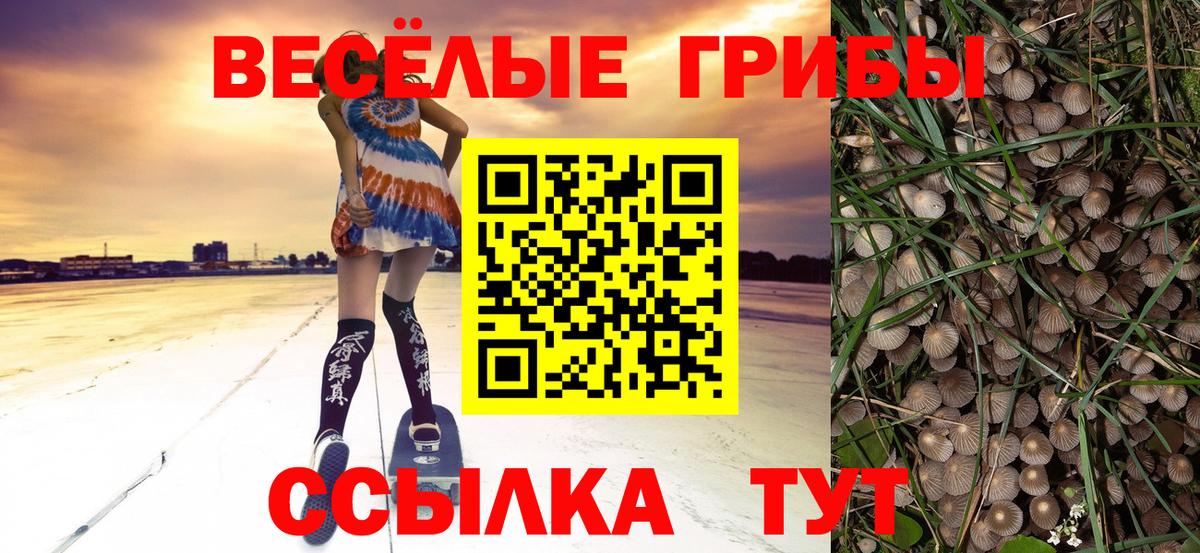 Галлюциногенные грибы мицелий Севастополь